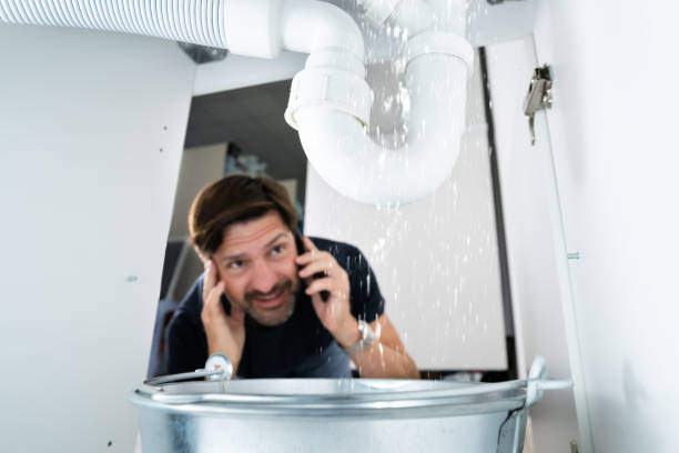 Best Plumbing Inspection Services  in Terryville, NY